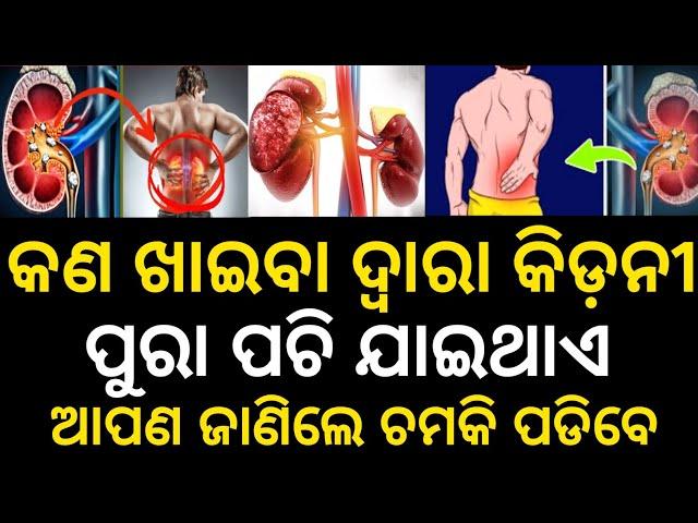 General Knowledge Odia | Top Odia Gk Question | Odia Gk Quiz 2025