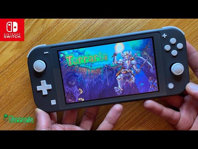 Terraria Nintendo Switch Lite Gameplay