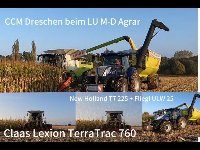 Claas Lexion 760 TerraTrac + New Holland T7 225 von M—D Agrar beim CCM Dreschen