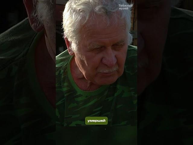 Могильная плита найденная в верховьях реки Тебы #shorts #музей #золотодобыча #царскаяроссия
