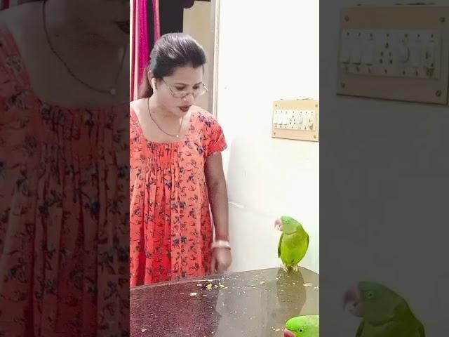 titu ne table ganda kar diya ha#funnyvideo #youtubereel #tranding #viral #Ajay-sunita-vlog