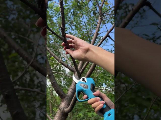SC-8612 45MM 25.2V Electric Pruning Shears - 2024 High-end series