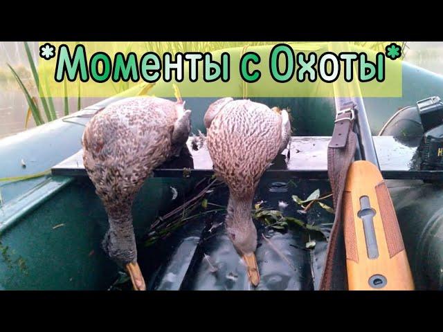 Охота | Рыбалка | Грибы | На чём ездят в деревне