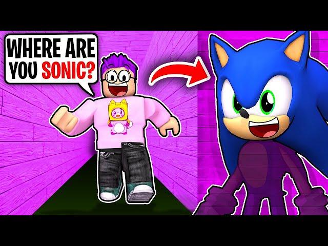 EXTREME HIDE AND SEEK CHALLENGE IN SONIC SPEED SIMULATOR!? (*FREE* LANKYBOX MERCH!)