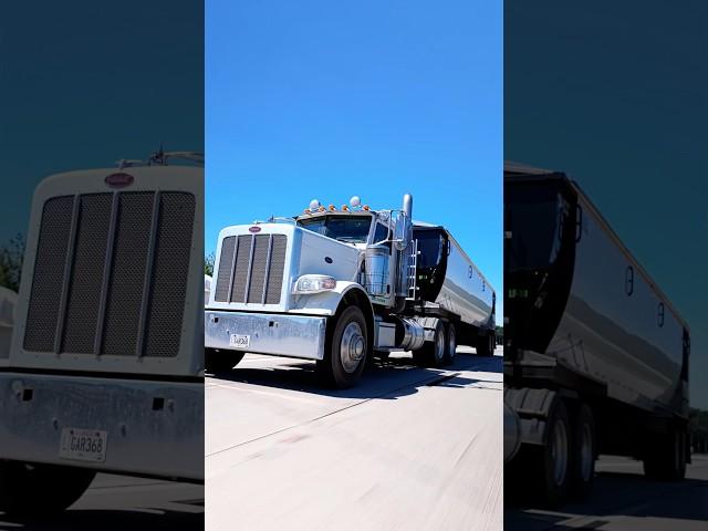 Peterbilt! Random Car Stats Pt. 57 #peterbilt389 #peterbilt379 #trucking