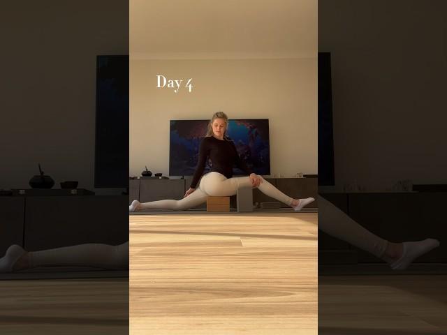 30 day splits challenge  #30dayschallenge #splits #flexibility #stretching