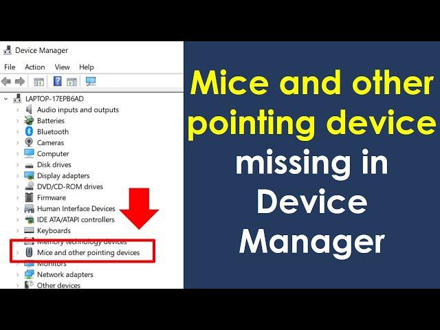 Mice and other pointing devices missing in device manager