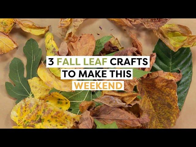 3 Cozy Fall Leaf Crafts & DIYs | Fall Decor DIYs