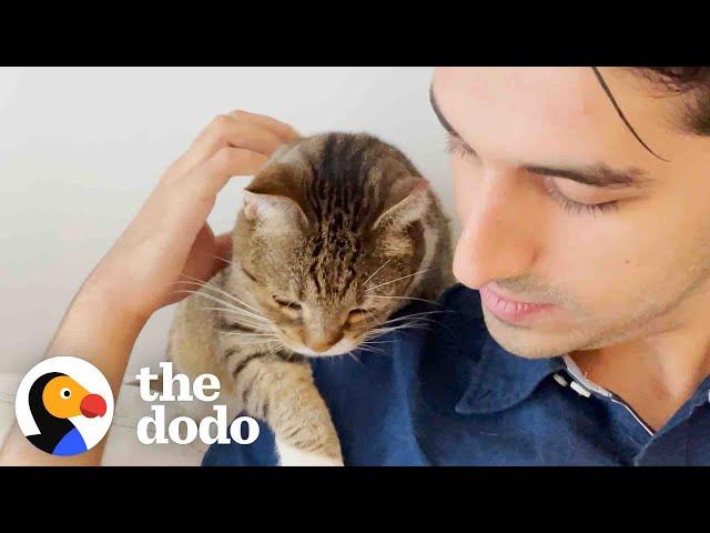 Guy Who Only Liked Dogs Cat-sits For The First Time | The Dodo Cat Crazy