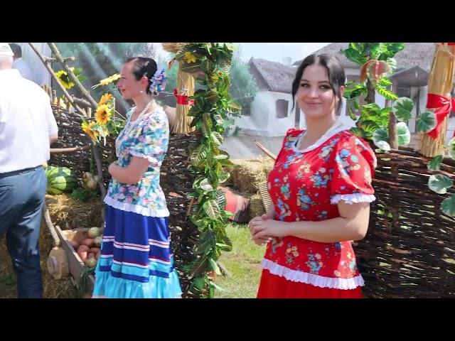 День поля "ВолгоградАГРО"- 2024 #сельскоехозяйство#деньполя