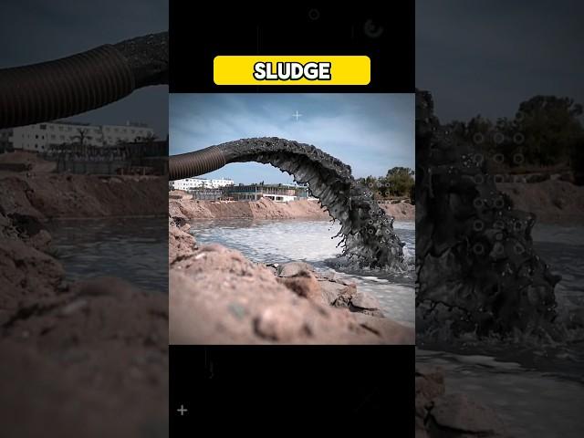 SLUDGE #sludge#effluent || WHAT IS SLUDGE #shorts#viral#trending