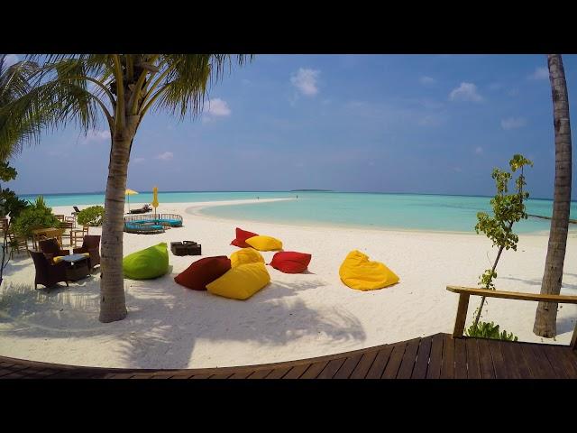 Dhigufaru Maldives 4k