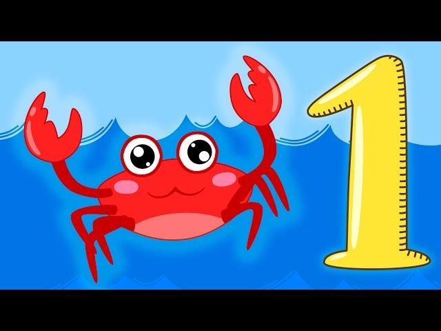 Первый музыкальный Морской сборник - Мультфильмы и песенки для детей