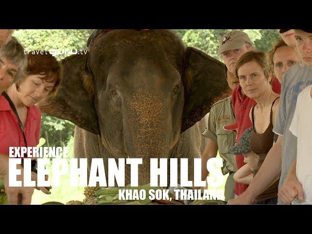 The Elephant Hills Experience - travelguru.tv