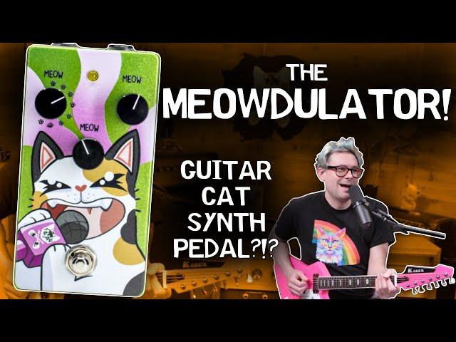 The Meowdulator: World's First Guitar Cat Synthesizer by B's Music Shop & Cusack Music