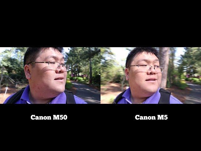 Canon M50 vs Canon M5 Video Test