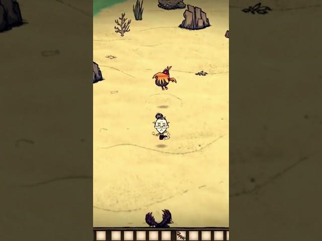 Как получить ОГНЕННОГО ПАКИМА в Don't Starve #dontstarve #shipwrecked #гайд #shorts #youtubeshorts