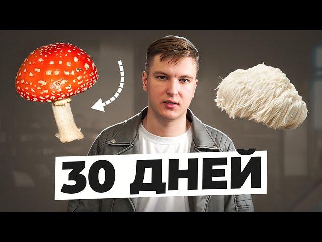 30 ДНЕЙ ПРИНИМАЮ МУХОМОР И ЕЖОВИК ГРЕБЕНЧАТЫЙ