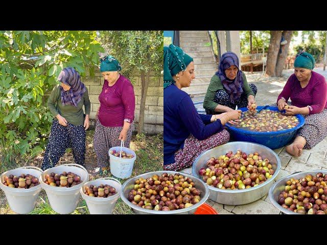 TAZE İNÇİR HASADI ODUN ATEŞİNDE İNÇİR REÇEL YAPIMI | HALAM'IN LEZZET KÖYÜ VİLLAGE LİFE