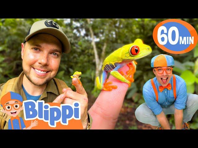 Explore Rainforest Animals with Blippi & Brave Wilderness friend Mark Vins!