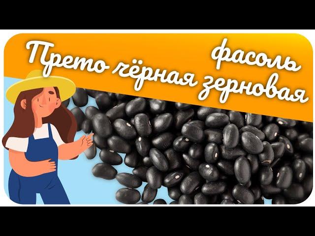 Зерновая фасоль чёрная Прето