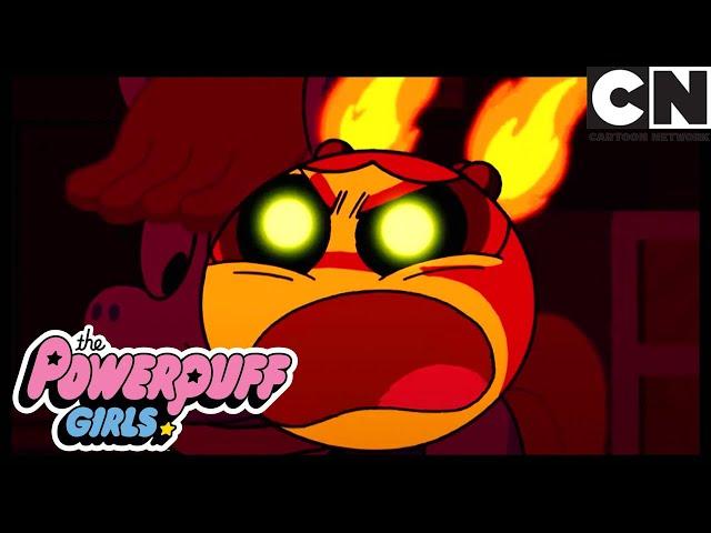 ЗАЖЖЕН! КОМПИЛЯЦИЯ | Суперкрошки | Cartoon Network