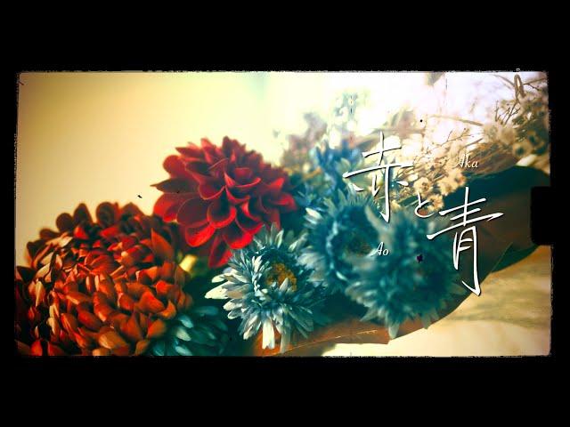 赤と青 / Red and Blue - ROTH BART BARON (Official Video)