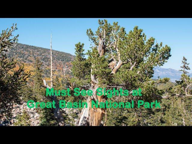 Great Basin National Park Must See Sights