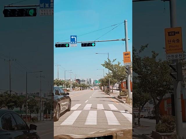 #정의송 #자연이좋아 #자연의힘 #자연치유