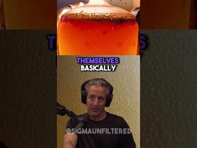 The Surprising History Of Alcohol | JRE featuring Edward Slingerland