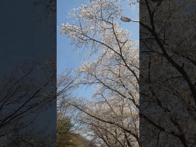 우울할때 듣는 기분좋은 음악 