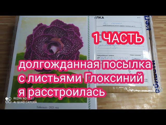 РАСПАКОВКА ПОСЫЛКИ С ЛИСТЬЯМИ ГЛОКСИНИЙ