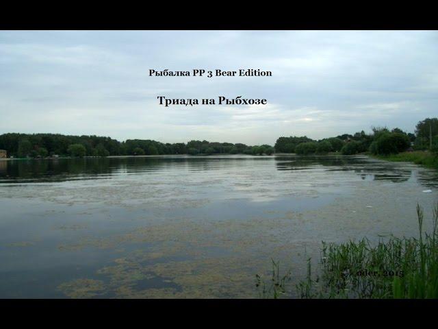 Триада на Рыбхозе в РР 3 Bear