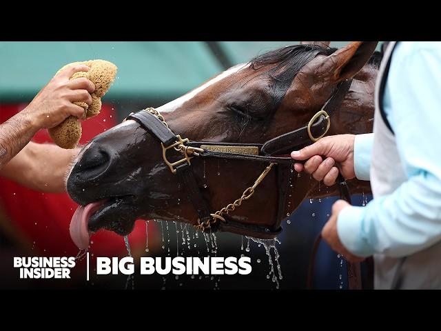 How The Fastest Horse In The Kentucky Derby® Was Bred And Raised To Win | Big Business