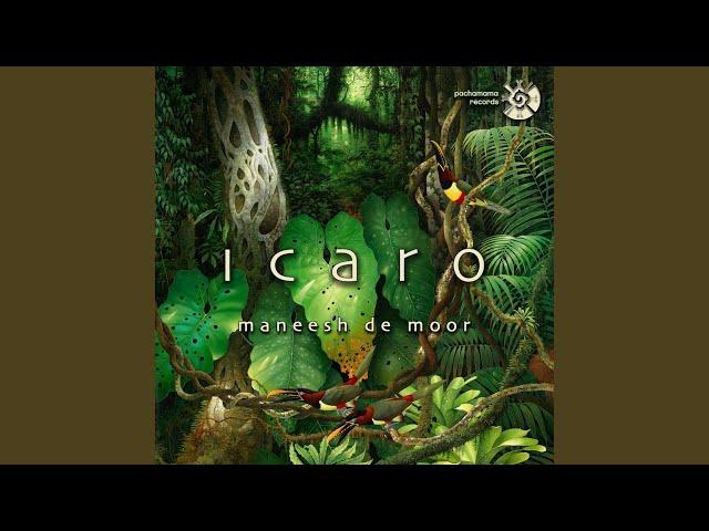 Grandfather's Icaro