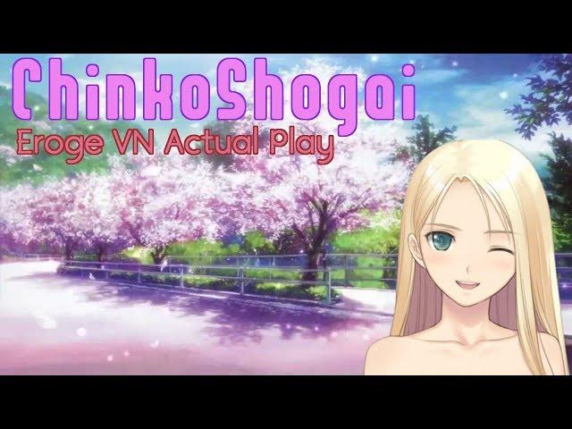 ChinkoShogai: Eroge Manga Visual Novel Actual Play!