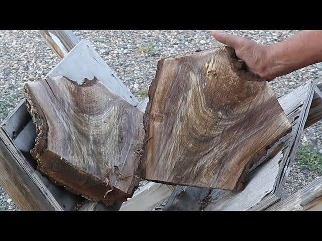 Turning a Winged Walnut Bowl from Crotch Wood..... Woodturning with Sam Angelo