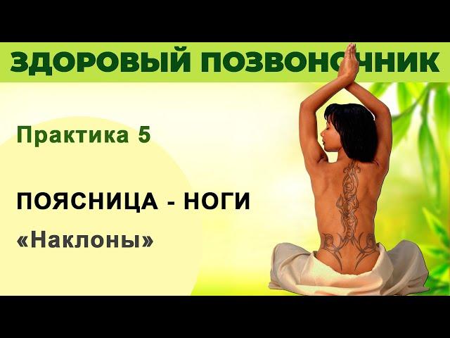 Поясница, Ноги. Наклоны. Урок 5