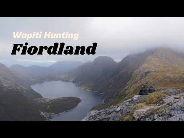 Wapiti Hunting Fiordland NZ