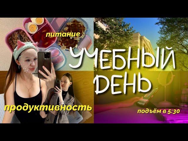 ‍study vlog/productive/первый учебный день