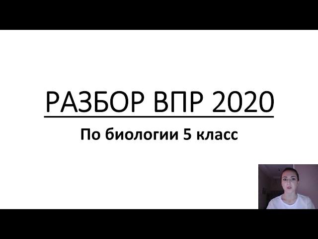 РАЗБОР ДЕМО ВЕРСИИ ВПР 5 класс 2020