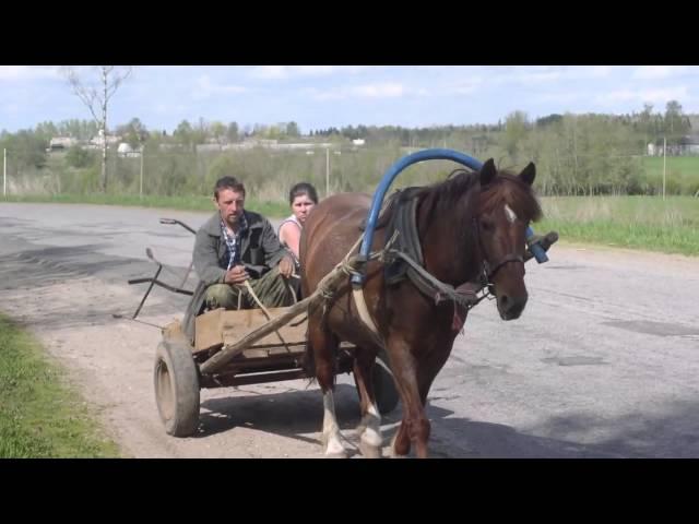 Ленинградская область.  Попкова Гора и  Нагинщина