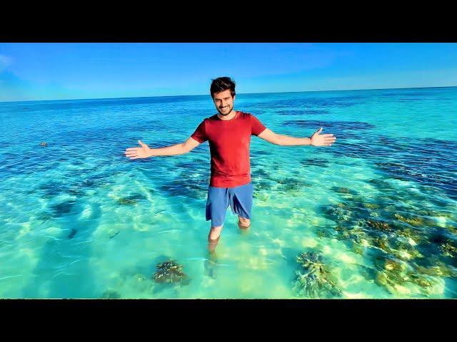 Inside the Great Barrier Reef of Australia!