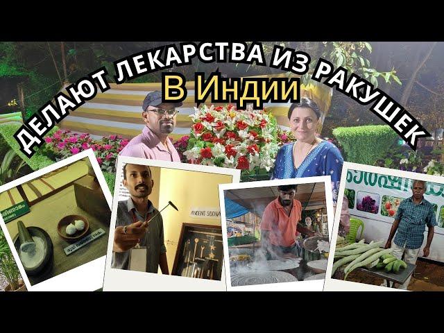 КАК И ЧЕМ ЛЕЧИЛИ В ИНДИИ РАНЬШЕ фестиваль в ашраме часть 2#индия #керала #наташаиндия #аюрведа