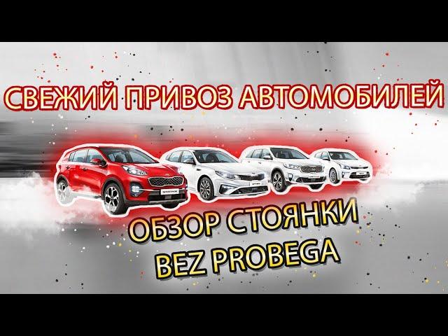 Свежий привоз авто "БЕЗ ПРОБЕГА"  HONDA VEZEL I Santa Fe  I Kia K5 I Forester I Sportage