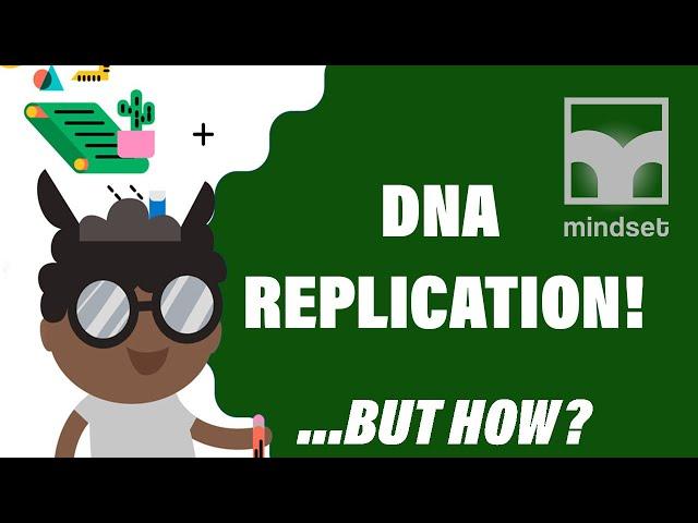 DNA Replication & Protein Synthesis:  Grade 12 Life Sciences