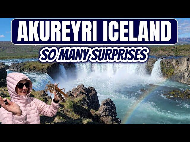 AKUREYRI, ICELAND | Godafoss , Myvatn Nature Baths, Dimmuborgir,  and an Unexpected Attack