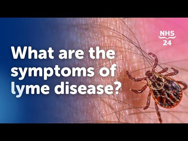 What are the symptoms of Lyme disease?