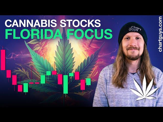 Cannabis Stocks Florida Focus