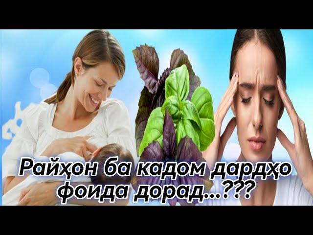 Фоидаҳои райҳон (базилик) ба организм...!!!